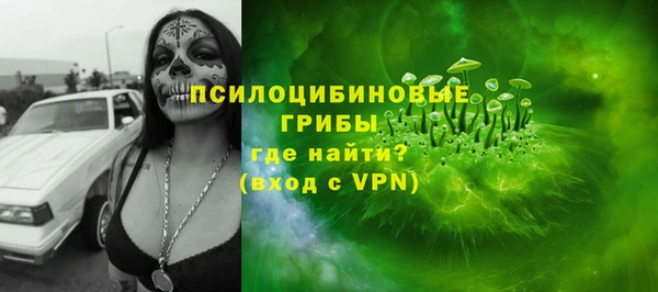 твердый Алзамай
