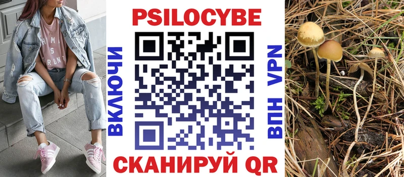 наркота Бакал ОМГ ОМГ рабочий сайт Галлюциногенные грибы GOLDEN TEACHER